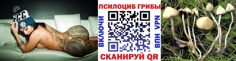 где найти наркотики  Ухта  Галлюциногенные грибы GOLDEN TEACHER 