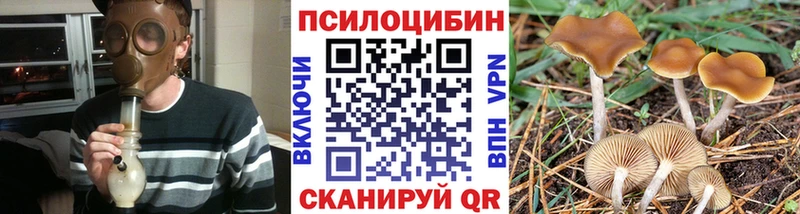 Псилоцибиновые грибы прущие грибы Ухта